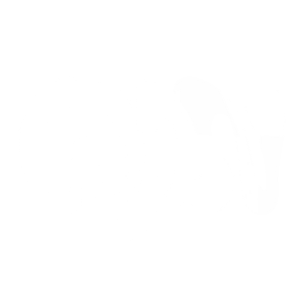 Naugthyyjuan logo